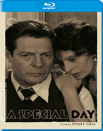 A Special Day 1977 1080p CRIT WEB-DL AAC 2.0 H264-BLOOM