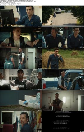 Disturbing the Peace 2020 HDRip XviD AC3-EVO