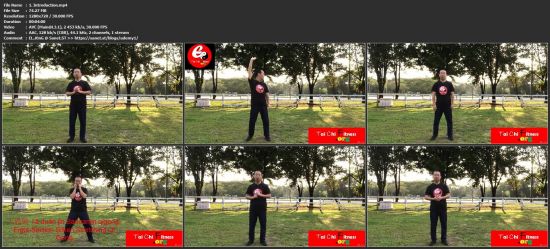 Tai Chi Qi Gong Fitness for Office - Relax Mind and Body BDJ