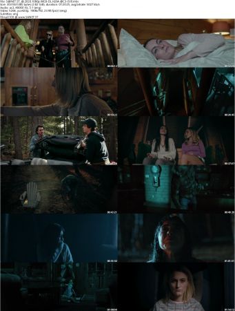 Alone 2020 1080p WEB-DL H264 AC3-EVO