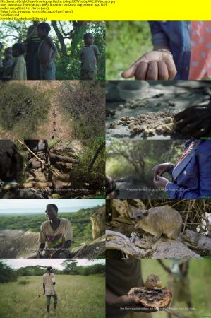 Curiosity TV - Bright Now: Growing up Hadza (2019) 1080p HDTV x264 AAC MVGroup