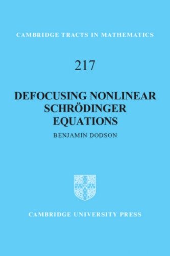 Defocusing Nonlinear Schrödinger Equations