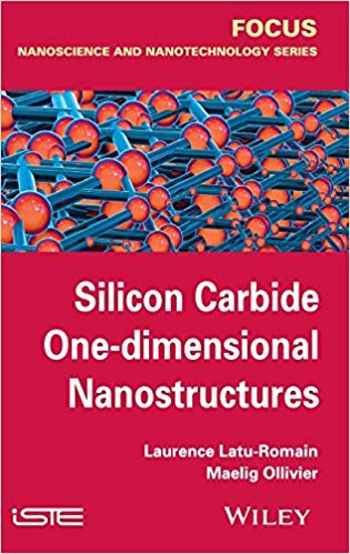 Silicon Carbide One dimensional Nanostructures