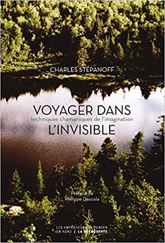 Voyager dans l'invisible : Techniques chamaniques de l'imagination