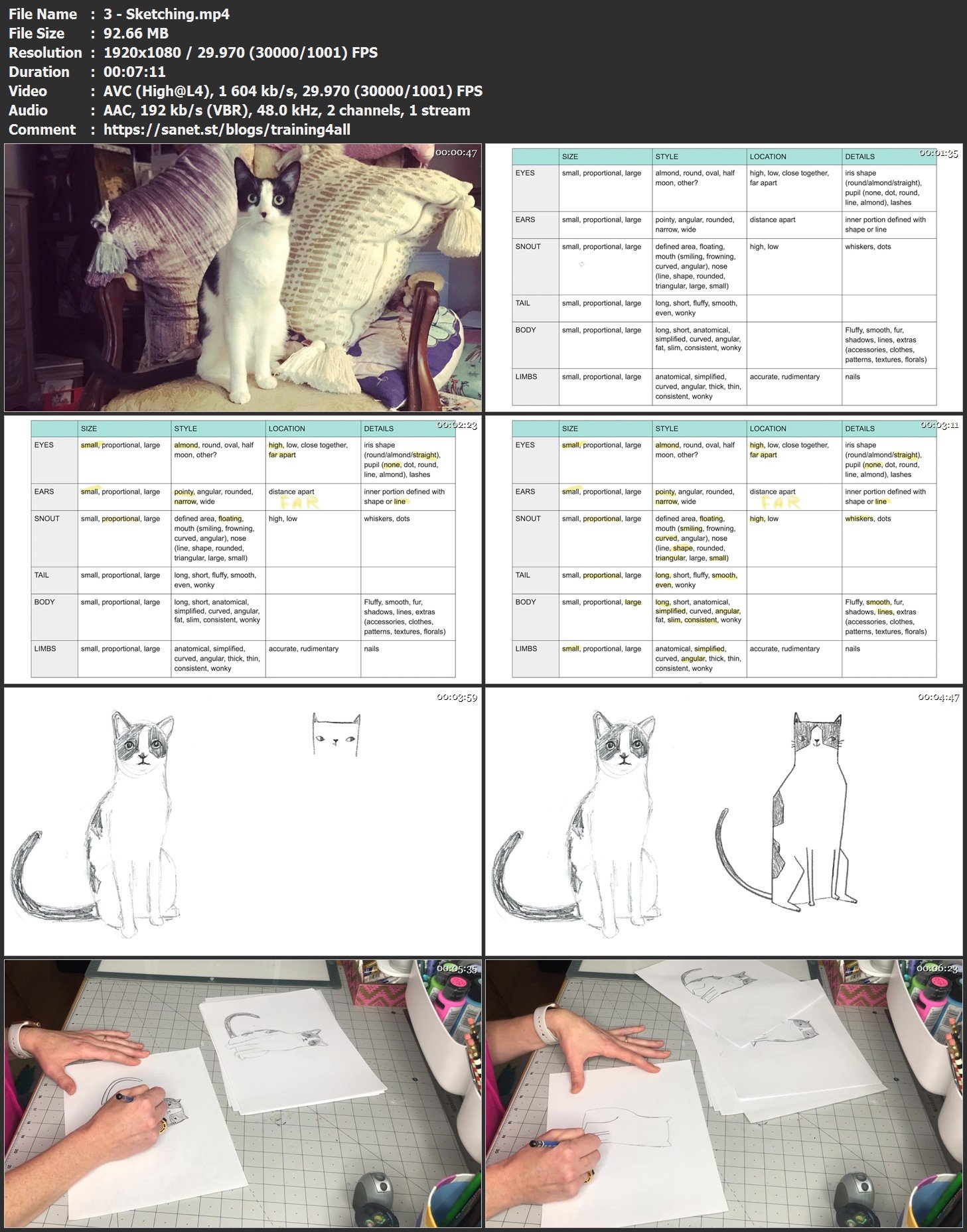 Instreamset:"Drawing Tutorial" & .Asp?Cat= / Cat Anatomy Tutorial By Lisannexx On Deviantart ...