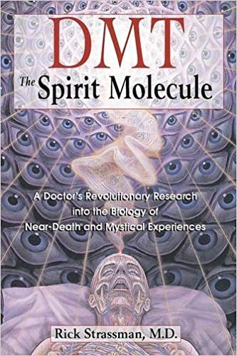 Dmt : The Spirit Molecule: A Doctor's Revolutionary Research Into the Biology of Near Death and Mystical Experiences (AZW3)