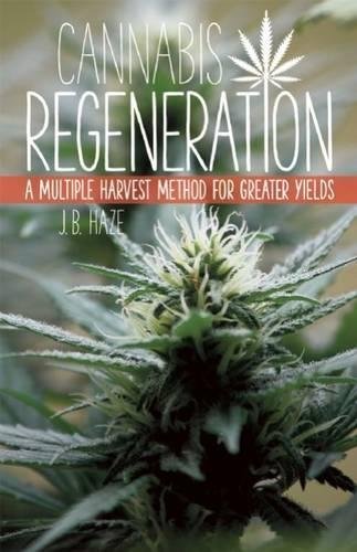 Cannabis Regeneration: A Multiple Harvest Method for Greater Yields