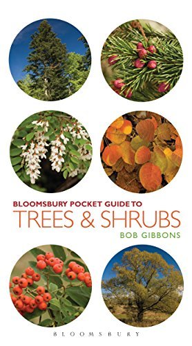 Pocket Guide to Trees and Shrubs