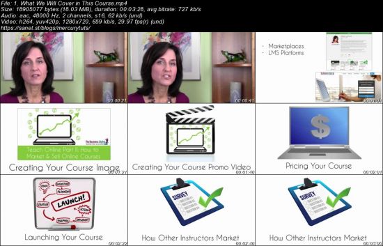 Teach Online: How to Market and Sell Online Courses