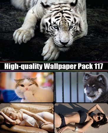 High-quality Wallpaper Pack 117