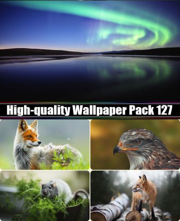 High-quality Wallpaper Pack 127