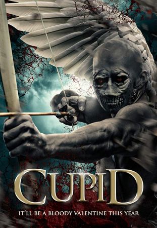 Cupid 2020 1080p WEB-DL H264 AC3-EVO