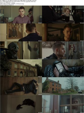 The Jack In The Box 2020 1080p WEB-DL H264 AC3-EVO
