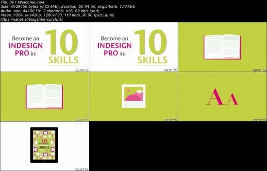 Become an InDesign Pro in 10 Skills 
