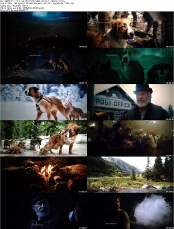The Call Of The Wild 2020 720p NEW HD-TS-C1NEM4