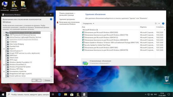 Windows 10 Pro 19H2 v1909 Build 18363.657 (x64) Integrated February 2020