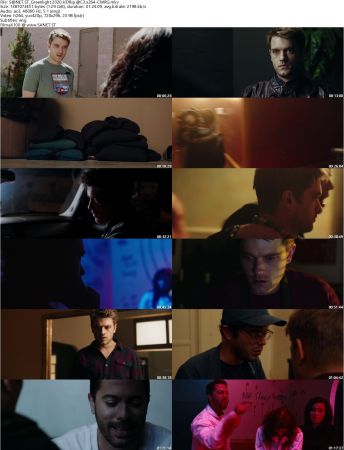 Greenlight 2020 HDRip AC3 x264-CMRG