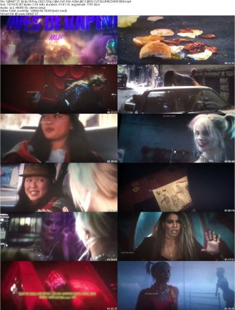 Birds Of Prey 2020 720p Cam Full Film H264 AC3 ADS CUT BLURRED-Will1869