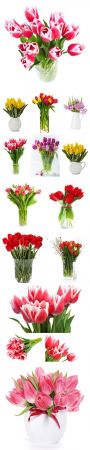 Beautiful tulips in vases stock photo