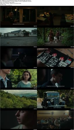 The Windermere Children 2020 720p BluRay x264-x0r