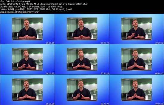 Certified Information Systems Auditor (CISA) (Part 2 of 2)