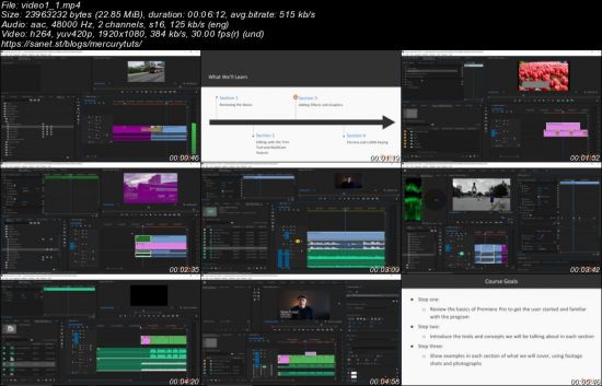 Mastering Adobe Premiere Pro CC 2020
