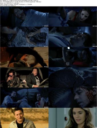 2 Graves in the Desert 2020 BRRip XviD AC3-XVID