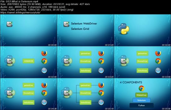 Elegant Browser Automation with Python and Selenium