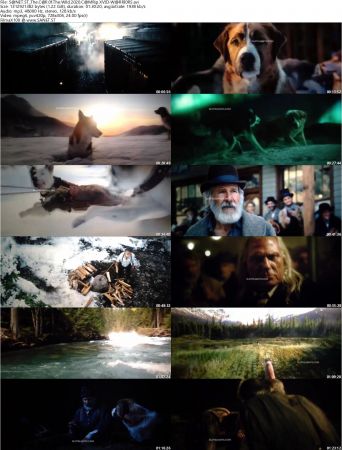 The Call Of The Wild 2020 CAMRip XVID-WARRIORS