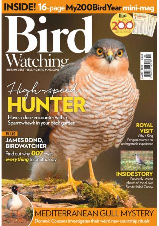 FreeCourseWeb Bird Watching UK March 2020