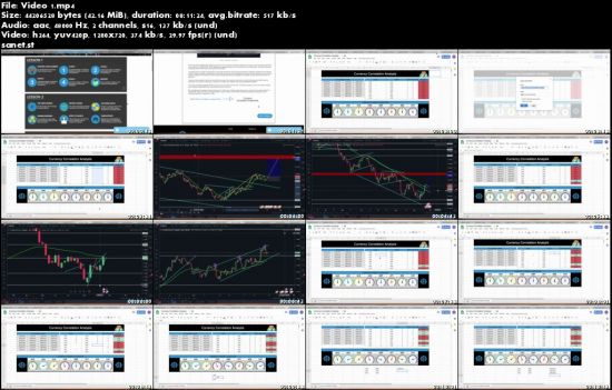 Swing Trader Society Course
