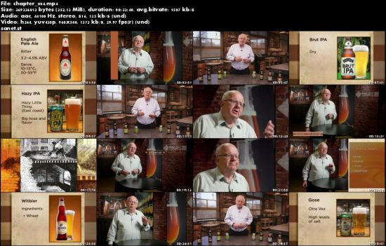 Everyday Guide to Beer (The Great Courses)