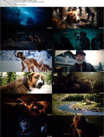 The Call Of The Wild 2020 720p HDCAM-C1NEM4