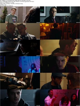 Greenlight 2020 1080p WEB-DL H264 AC3-EVO
