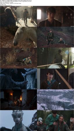 Dragonheart Vengeance 2020 720p BluRay x264-x0r
