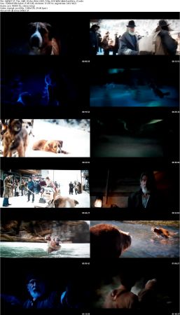The Call of the Wild 2020 720p HDCAM-AdsFreeSorry
