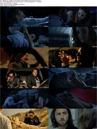 2 Graves in the Desert 2020 1080p BluRay x264-ROVERS