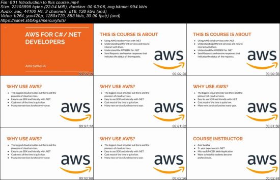 AWS For C#/.NET Developers 