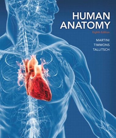 Human Anatomy, 8th Edition (PDF)