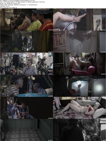 Three Husbands 2018 D9 MiniSD-TLF