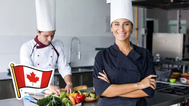 FreeCourseWeb Udemy How to Immigrate to Canada as a Food Service worker