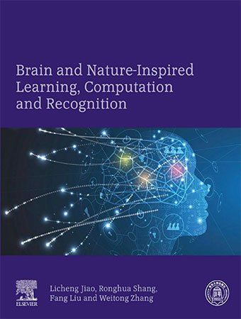 FreeCourseWeb Brain and Nature Inspired Learning Computation and Recognition