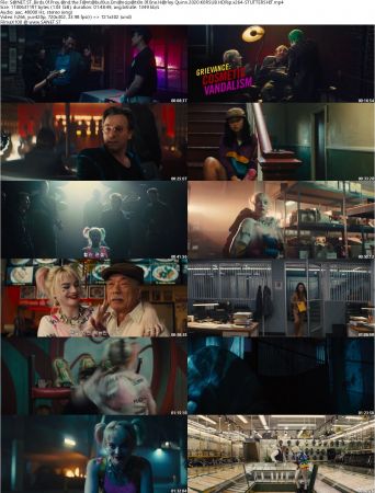 Birds of Prey And the Fantabulous Emancipation of One Harley Quinn 2020 KORSUB HDRip x264-STUTTERSHIT