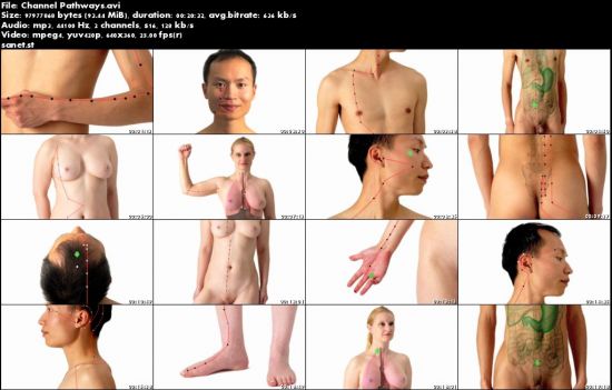 How to Locate Acupuncture Points