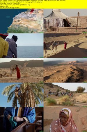 ZED - Today in Africa: Series 1 (2019) 1080p HDTV x264 AAC MVGroup