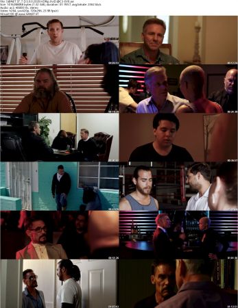 The Dark Side Of Opulent 2020 HDRip XviD AC3-EVO