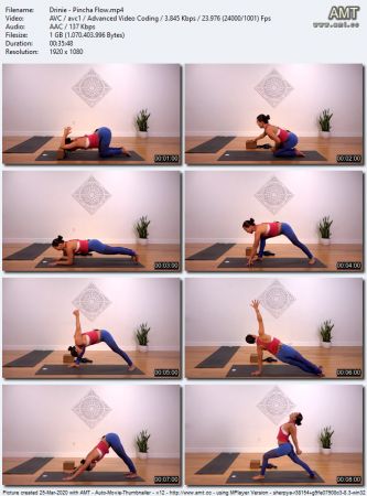 The Yoga Collective - Funky Flow