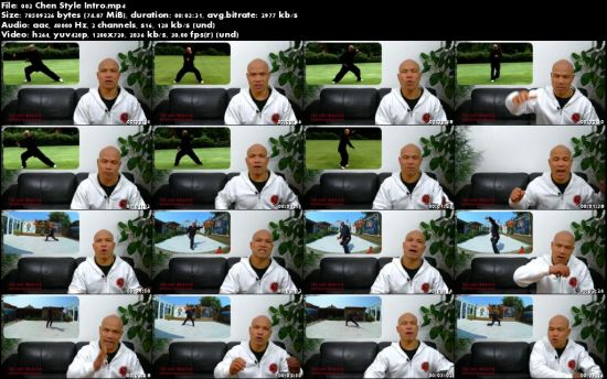 Tai Chi Chen Style