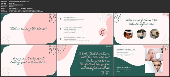 Understanding Anti Aging | The Basics