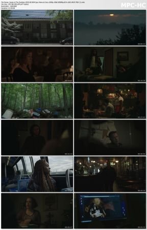 The Outsider 2020 S01 1080p 10bit WEBRip 6CH x265 HEVC-PSA